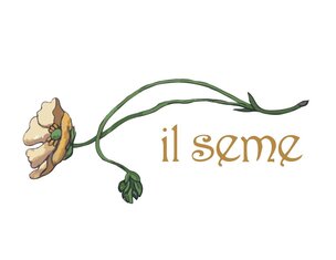 il Seme