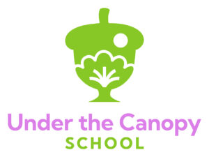 Under the Canopy School